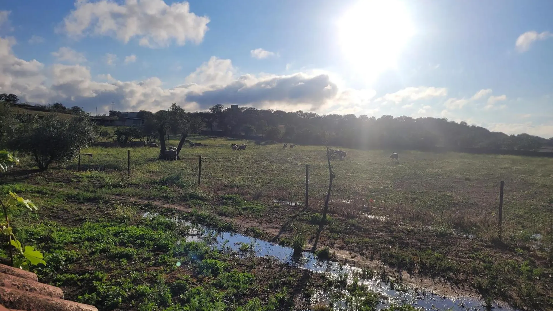 Complejo Rural El Soldado Villa Villanueva del Duque
